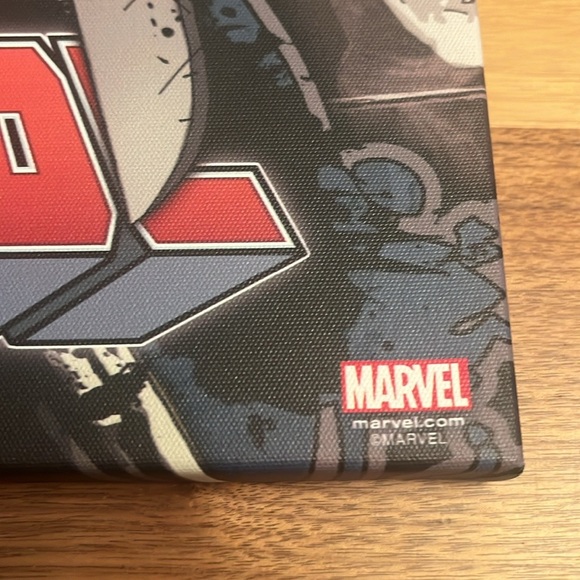 SILVER BUFFALO THE PUNISHER CANVAS and SILVER BUFFALO DEADPOOL
Excellent - Picture 7 of 10